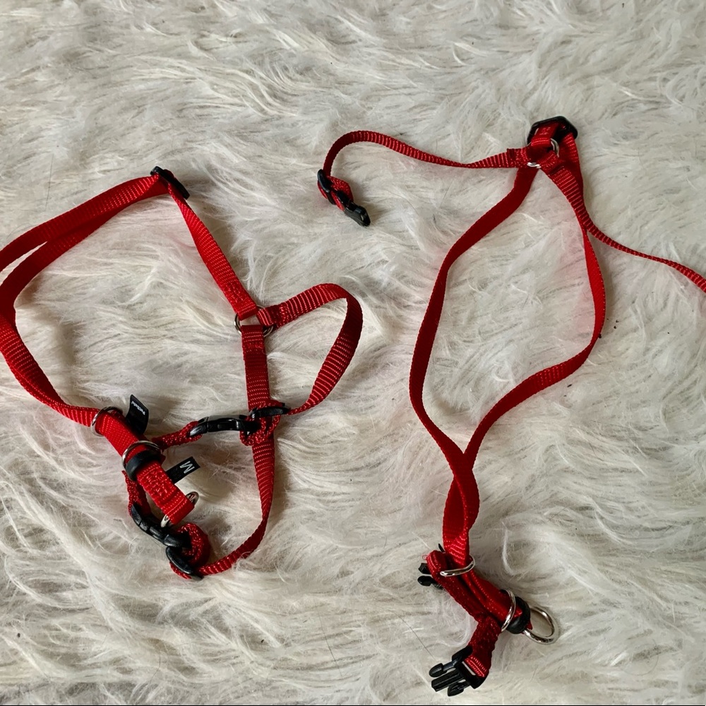 3/$20! Cat harness (x2), brush, and electric usb fish!